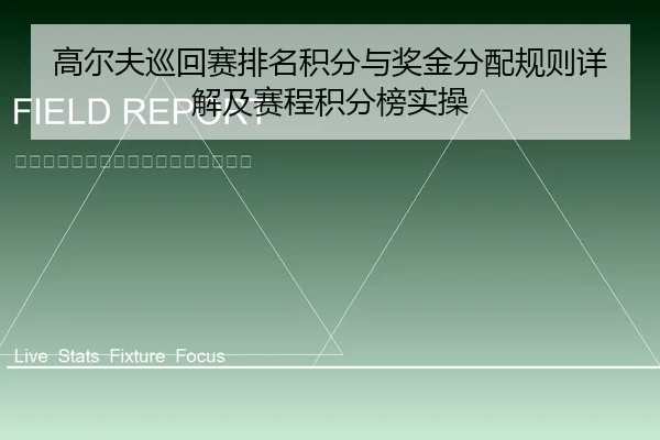 高尔夫巡回赛排名积分与奖金分配规则详解及赛程积分榜实操